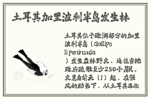 696969大但人文艺术来源